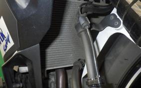 KAWASAKI ZX-4R SE 2024 ZX400P