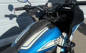 HARLEY FXLRST 2023 YXZ