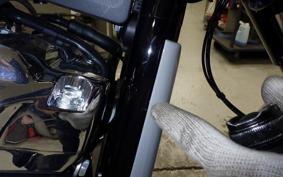 HARLEY FXBR1920 2025
