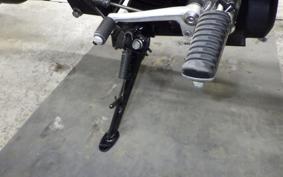 KAWASAKI Z900RS 2023 ZR900K