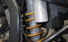 KAWASAKI KLX250 2025 LX250E