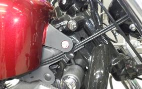 OTHER +HD. XL1200X 2015
