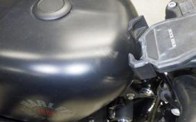 HARLEY XL883N 2019