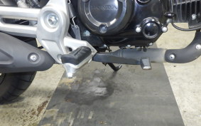 HONDA GROM 2024 JC92
