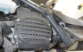 HONDA ZOOMER AF58