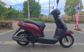 HONDA  TACT  BASIC  AF79
