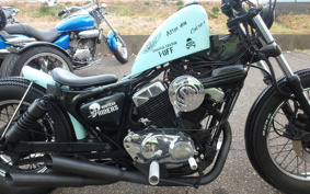 YAMAHA VIRAGO 250 3DM