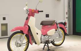 HONDA C50 SUPER CUB 2009 AA09