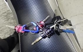YAMAHA SEROW 250 Gen.2 2024 DG17J