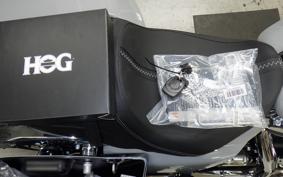 HARLEY FLHX1920 2025