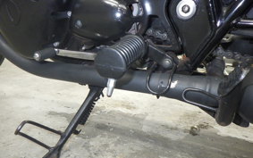 KAWASAKI W800 2011 EJ800A