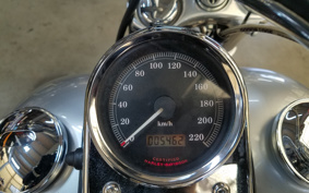 HARLEY FXDL 100th 2002 GDV