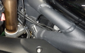 TRIUMPH DAYTONA 675 2009