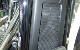 HARLEY FXBBS1870 2021