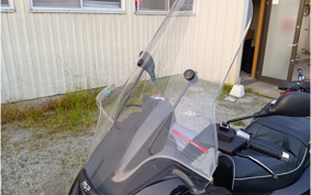 PIAGGIO MP3 250 RL ZAPM47201
