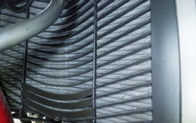 YAMAHA FZ1 FAZER 2015 RN21J