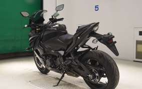 SUZUKI GSX-S1000F 2019