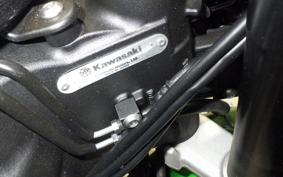 KAWASAKI NINJA 1000 SX 2023 ZXT02K