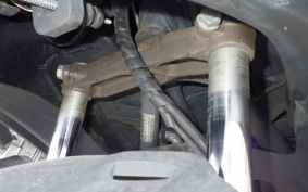 MALAGUTI PHANTOM MAX250 2021