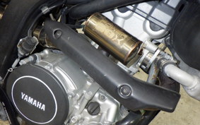 YAMAHA WR250X 2020 DG15J