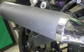 KAWASAKI NINJA 250R EX250K