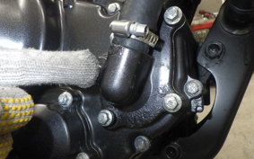 HONDA REBEL 250 S 2024 MC49