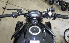 KAWASAKI Z1000 Gen.5 2015