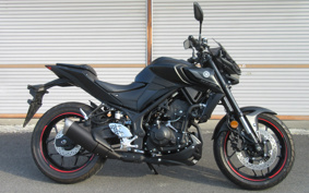 YAMAHA MT-25 RG74J