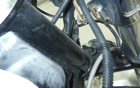 YAMAHA RZ 250 2019 4L3