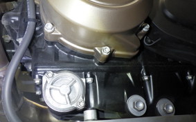 HUSQVARNA スバルトピレン801 2024