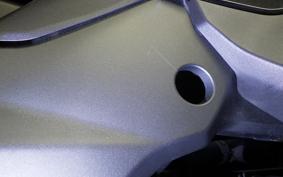 KAWASAKI NINJA 1000SX 2024 ZXT02K