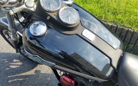 HARLEY FXDL 100th 2003 GDV