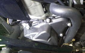 KAWASAKI ZX-4RR 2023 ZX400P