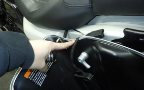 HARLEY FLTRXSE1920CVO 2020