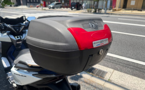 HONDA FORZA 250 4019