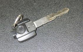 YAMAHA CYGNUSｸﾞﾘﾌｧｽ 2019 SEJ4J