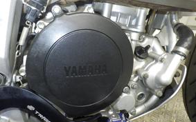 YAMAHA WR250R