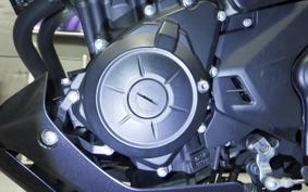 YAMAHA MT-25 RG10J