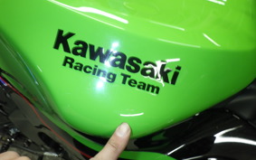 KAWASAKI NINJA ZX-6R A 2021 ZX636G