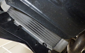 YAMAHA WR250X DG15J