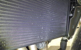 YAMAHA MT-09 SP 2024