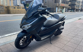 HONDA  FORZA 250 MF17