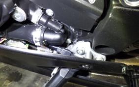 MV AGUSTA SUPER VELOCE 800 2021