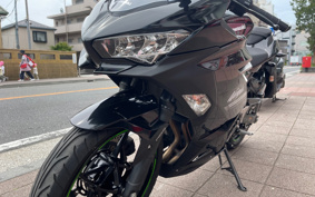 KAWASAKI NINJA 250 ABS EX250P