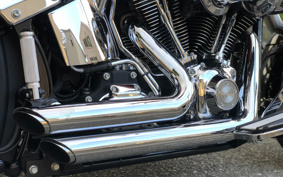 HARLEY FLSTF 2011 BX5