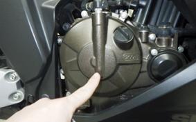 SUZUKI ｼﾞｸｻｰ250SF 2002 ED22B