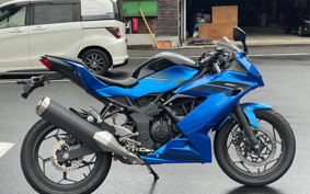 KAWASAKI Ninja 250SL BX250A