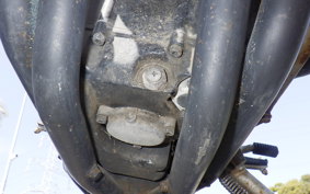 YAMAHA FZ250 1HX