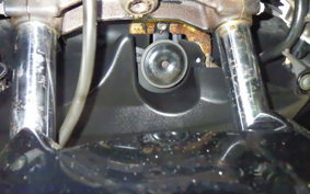 SUZUKI SKYWAVE 250 (Burgman 250) S Gen.3 2004 CJ44A