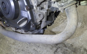 HONDA VTR 250 Gen. 2 2026 MC33